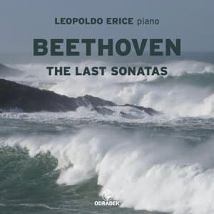 Beethoven: The Last Sonatas