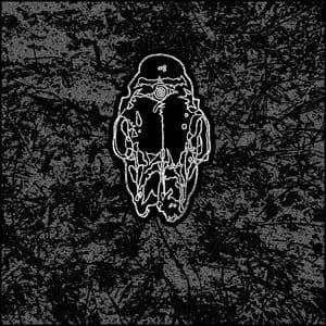 Aggressor Appendage Lost Tracks 2020-2025