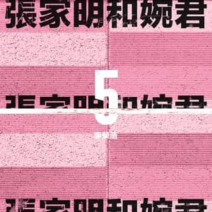 Zhang Jia Ming And Wan Jun