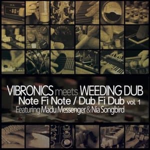 Note Fi Note / Dub Fi Dub, Vol .  1