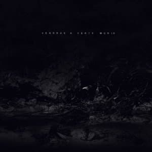 Vendras a Verte Morir