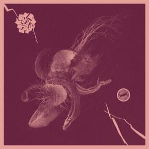 Now That Youve Found It