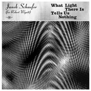 What Light There Is Tells Us Nothing