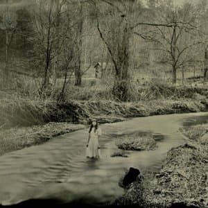 Shadows in the Shallows