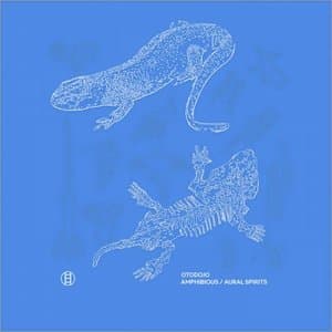 Amphibious / Aural Spirits