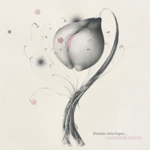 Pensees Interlopes...