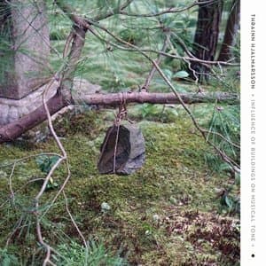 Influence of Buildings on Musical Tone