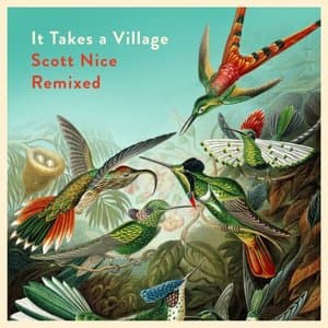 It Takes a Village: Scott Nice Remixed
