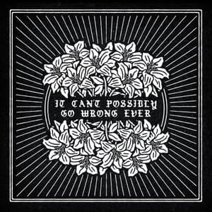 It Cant Possibly Go Wrong Ever