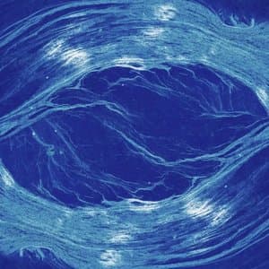 If I Dont See You Again