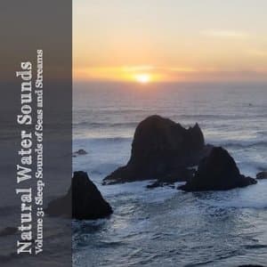Natural Water Sounds Vol. 3