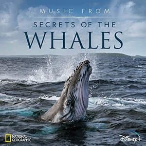 Music from Secrets of the Whales