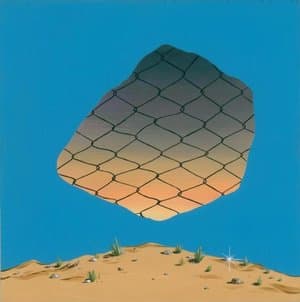 Carl Sagans Skate Shoes