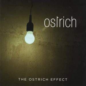 The Ostrich Effect