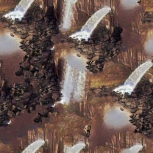 I Had Forgotten How Much Light There