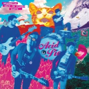 Meanwhile, Back on Planet Earth