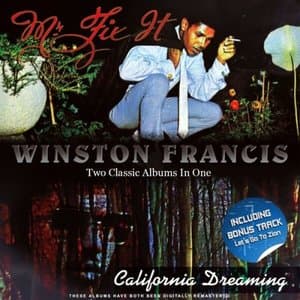 Mr Fix It / California Dreaming