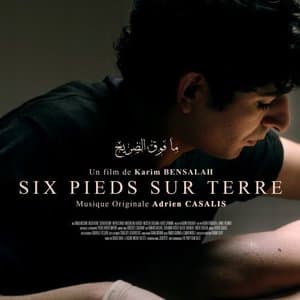 Six pieds sur terre (Bande originale du film)