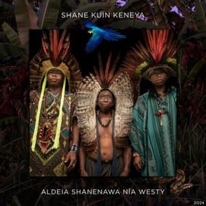 Aldeia Shanenawa Nia Westy