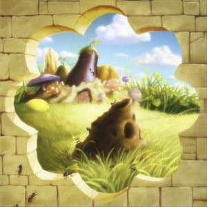 Flores del Jardin Trasero