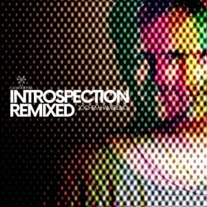 Introspection Remixed