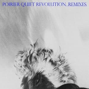 Quiet Revolution Remixes