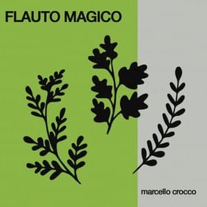 Flauto Magico