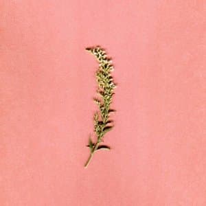 Trois jours chez Juliette