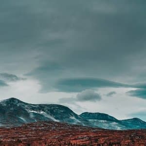 Dedicated To Desolation