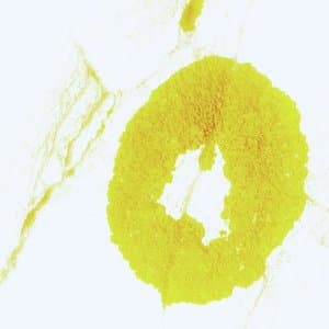 Ritual of Non Existence (Listen Closely Everything Sings)