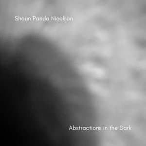 Abstractions In The Dark