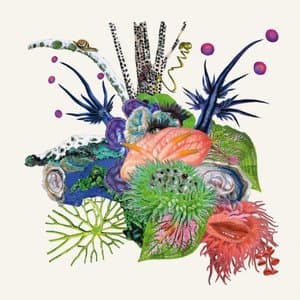 Touche (Deluxe Edition)