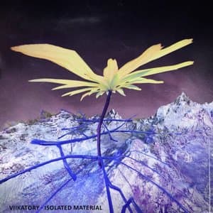 ISOLATED MATERIAL ALBUM2023