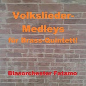 Volksliedermedleys (fur Brass-Quintett)