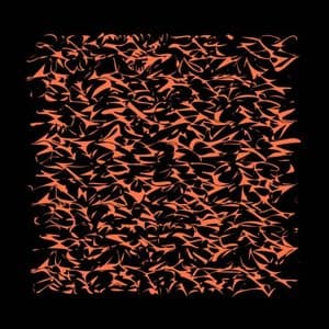 RFG Inventions For Cello & Computer