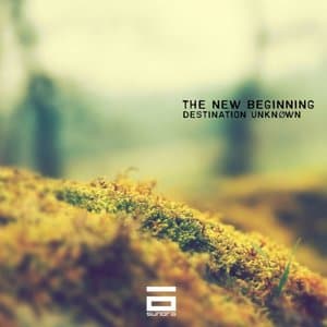The New Beginning