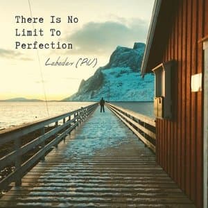 There Is No Limit To Perfection LP
