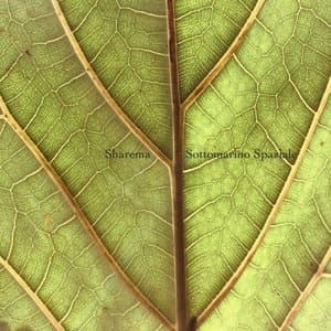 Sottomarino Spaziale