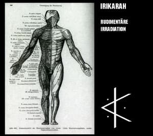 Rudimentäre Irradiation
