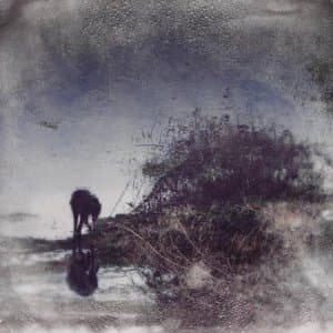 Flux & Contemplation - Portrait Of An Artist In Isolation