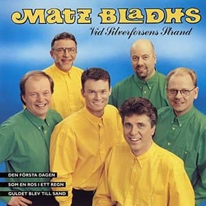 Vid Silverforsens Strand