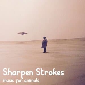 Music For Animals