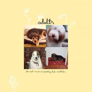 the seeds we sow are sprouting buds nonetheless