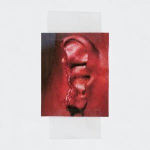 Cellular Housekeeping