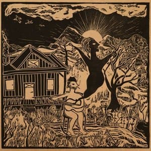 I Play My Guitar Like I Dont Care