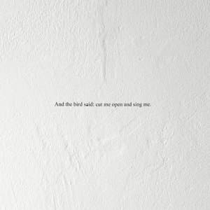 And the Bird Said Cut Me Open and Sing Me