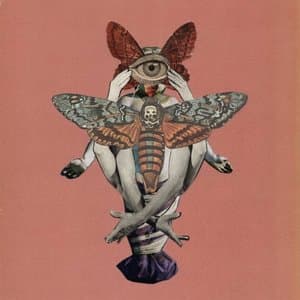 Without Blood the Sun Darkens