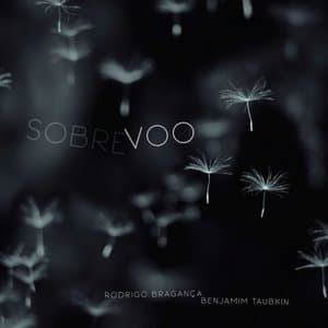 Sobrevoo