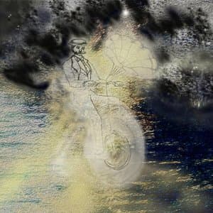 Monsieur Rayons Gramophone