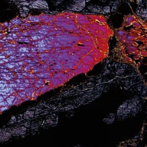 Its Not Quiet In The Void